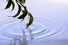 Su Tram Lang Va Quan Binh tam Ly